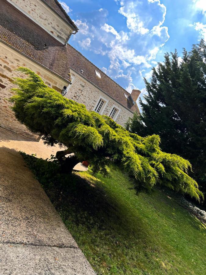 Le Domaine De Jade Apartment Chatillon-la-Borde Bagian luar foto